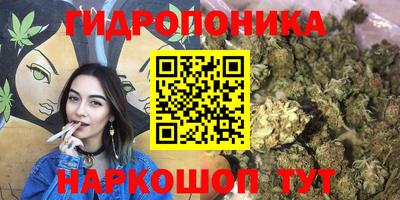 молекула духа Котовск