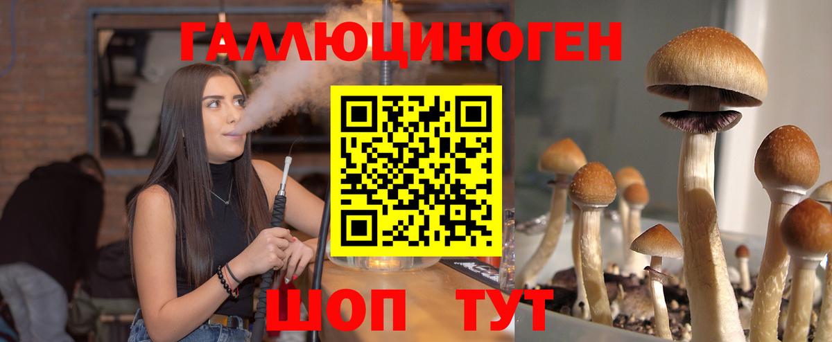 Галлюциногенные грибы ЛСД Углич